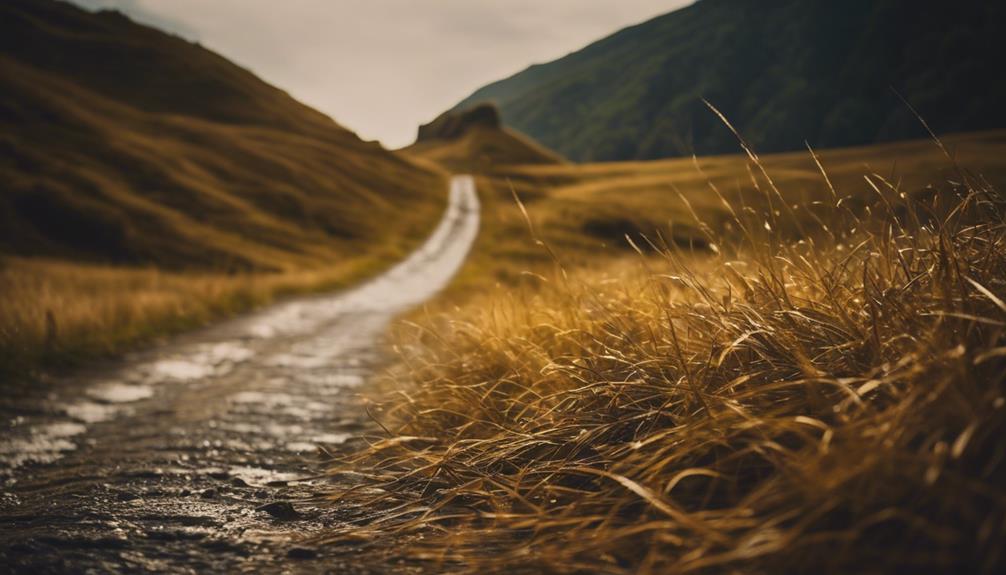 What Makes Enhanced Images So Realistic? - iPic.ai - Create Beautiful Ai Art or Ai Images For Free refining subtle visual aspects